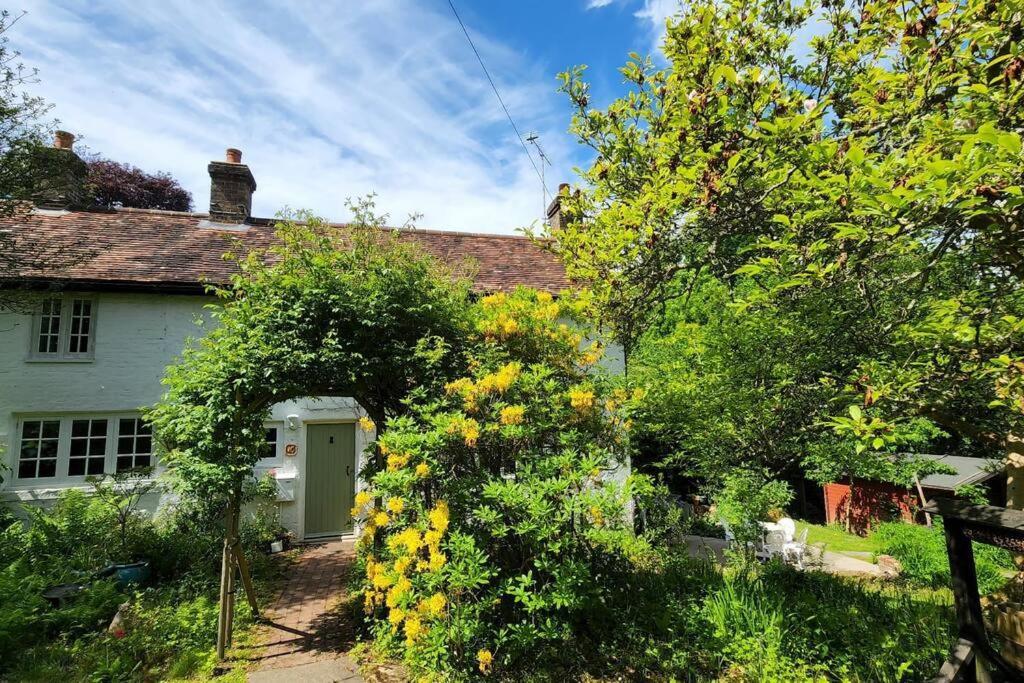 Ashdown Forest Character Cottage, 18Th Century 克罗伯勒 外观 照片